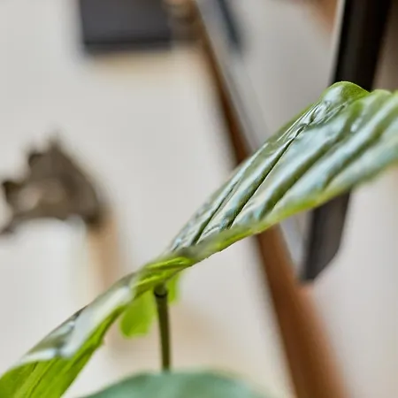 Apartmán Traumblick Burg *