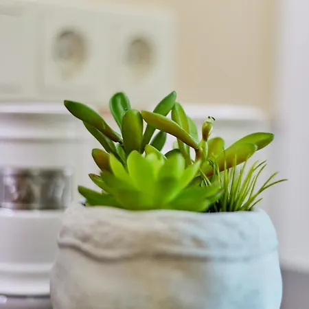 Traumblick Burg * Commune fusionnée de Bernkastel-Kues