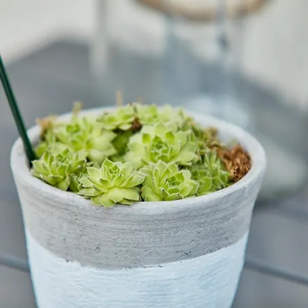 Traumblick Burg Apartmán Bernkastel-Kues