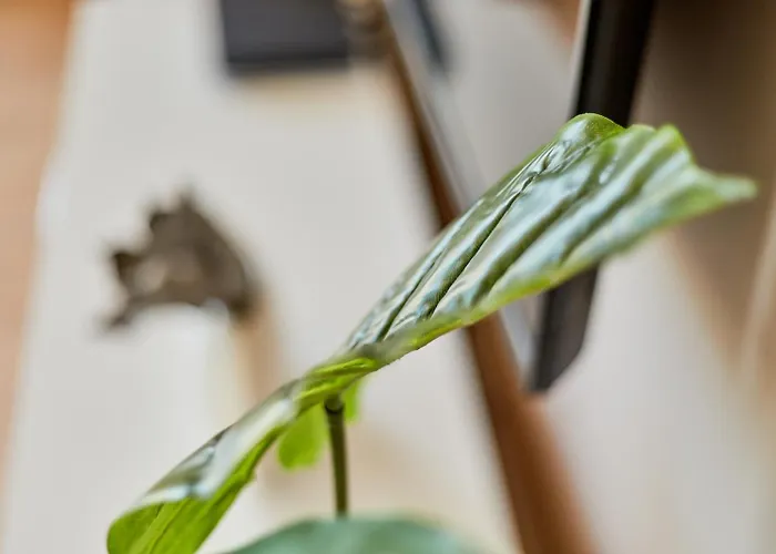 דירה Traumblick Burg *