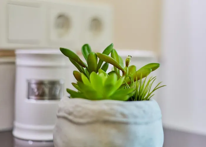 Traumblick Burg * ברנקסטל - קיס