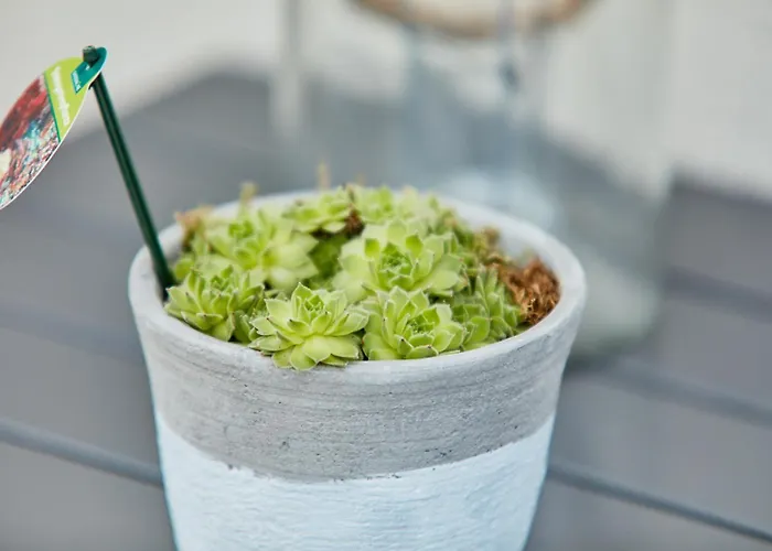 Traumblick Burg アパート ベルンカステル・クース