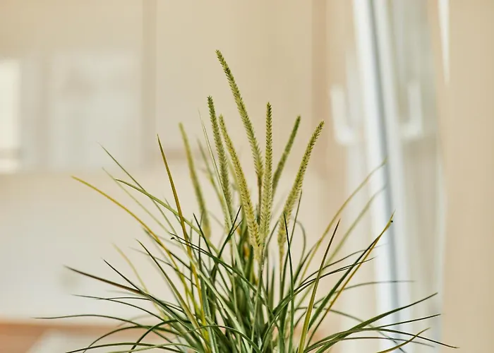 アパート Traumblick Burg *